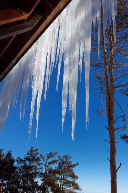 ansaser171209_3