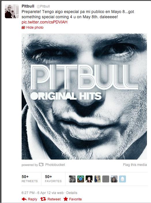 pitbull_new