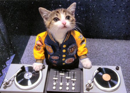 kitty-dj