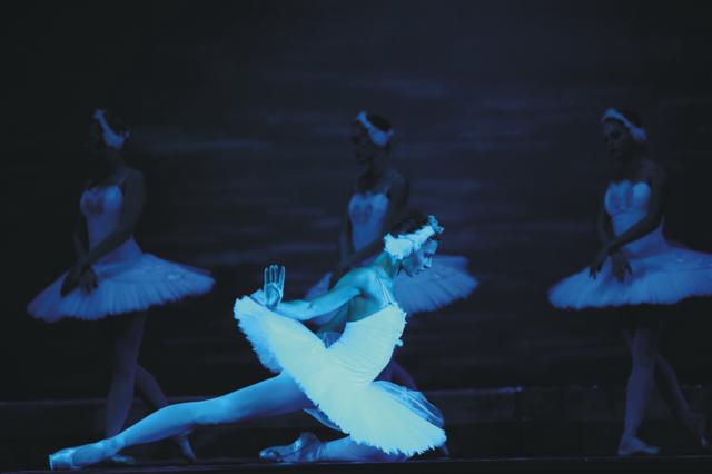 Swan_Lake_Small