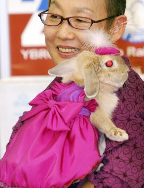 rabbit-fashion-7_newsbeastgr
