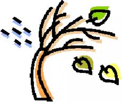 Το Μπαράκι του Βασίλη 