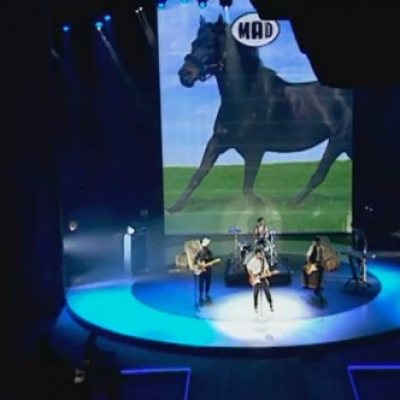 Δείτε τις Μέλισσες στο MadWalk