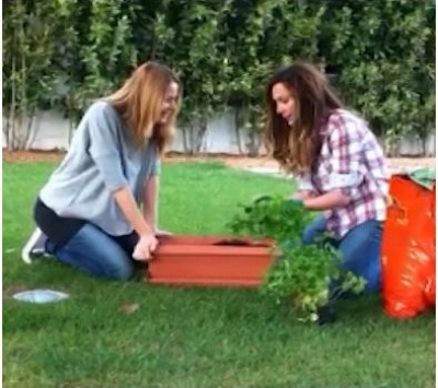 Μαθήματα κηπουρικής από τη Δέσποινα Βανδή
