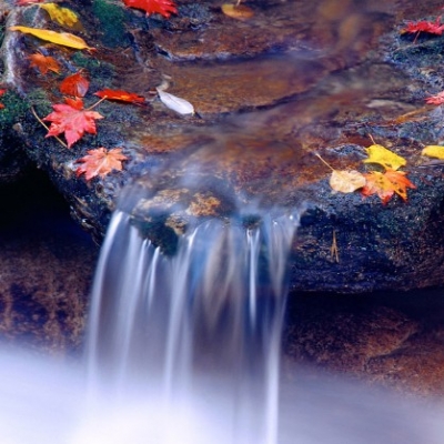 Πες μου μια λέξη να βρώ τραγούδια... λέξη: ''Άνοιξη"