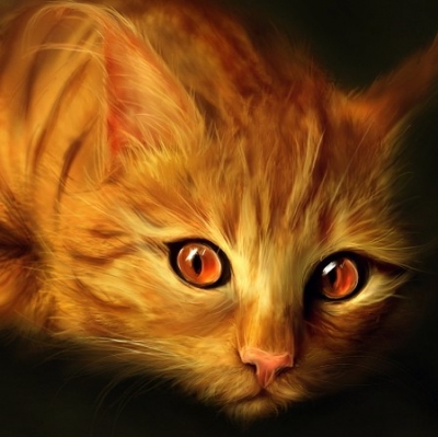 Πες μου μια λέξη να βρώ τραγούδια... λέξη: "Γάτα"