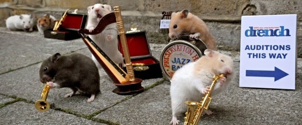 Μια τζαζ συναυλία από... χάμστερ!