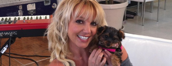 Η σκυλίτσα της Britney απέκτησε twitter!!