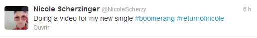 nicole-scherzinger-twitter