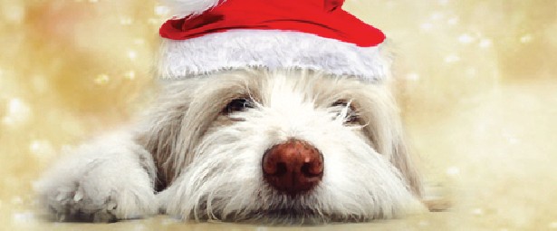 Παιδικά χαμόγελα Χριστουγέννων στο Golden Hall...!