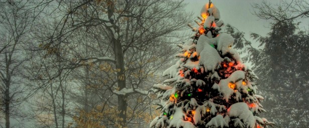 Χορεύοντας γύρω από το Χριστουγεννιάτικο Δέντρο!