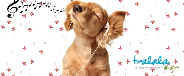 Σκύλος – χορευτής ξαφνιάζει χορεύοντας σάλσα!