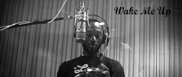 “Wake Me Up”| Ακούστε τη γνωστή επιτυχία σε acoustic version