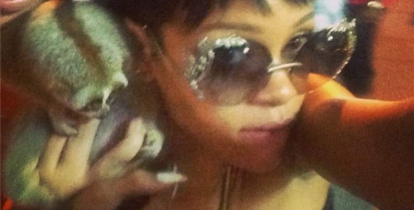rihanna-animal