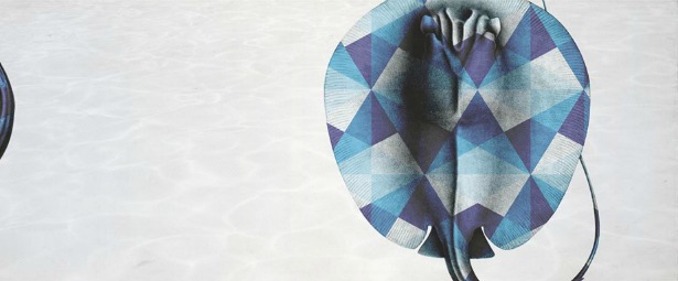 Tareq feat. Νατάσσα Μποφίλιου | Ακούστε το νέο τραγούδι «Take Me Higher»