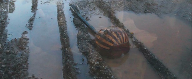 «Ανοιχτές Πληγές της Ευρώπης»: Συναυλία της Λίας Βίσση στο Ίδρυμα Μιχάλης Κακογιάννης 22/1