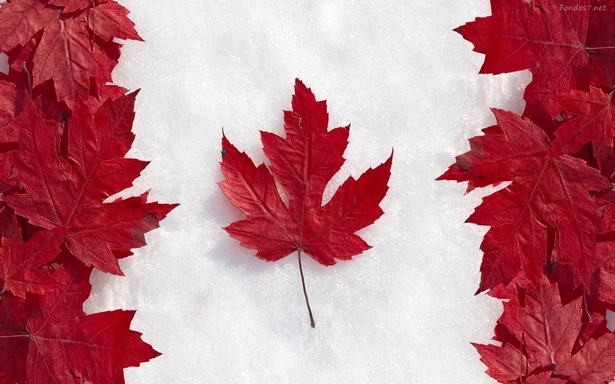 la-bandera-de-canad-y-nieve-9722