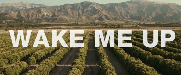 “Wake Me Up”| Tο πιο πολυπαιγμένο τραγούδι όλων των εποχών στο Spotify
