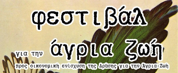 Φεστιβάλ για την άγρια ζωή 6/6