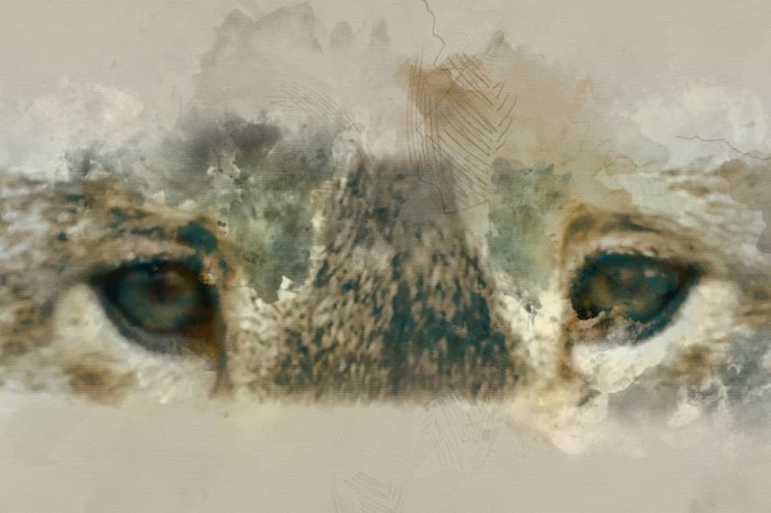 «Κρύβομαι Κάτω Απ' Τη Βροχή»: ΝΙΝΟ Ξυπολιτάς & Θάνος Παπανικολάου