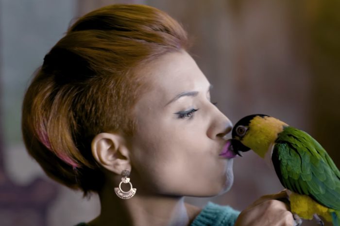 Η Πέννυ Μπαλτατζή έκανε το cover του μήνα τραγουδώντας "Μέλισσες"