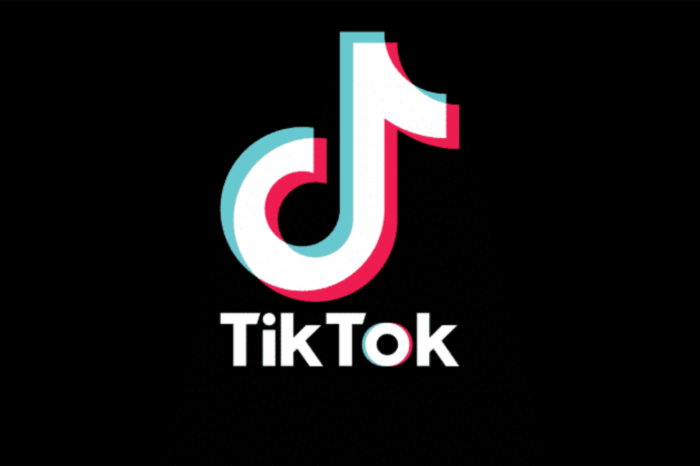 Tik Tok: Η νέα τρέλα των διασήμων - Αυτούς τους έλληνες τραγουδιστές απολαμβάνουμε στο app!